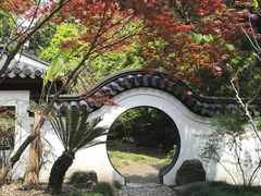 -汇龙潭
