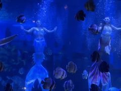 -石林冰雪海洋世界