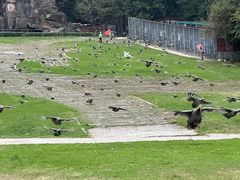 -哈尔滨北方森林动物园