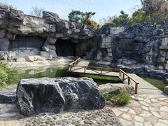 -上海吴淞炮台湾国家湿地公园