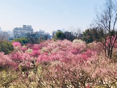 -南京古林公园