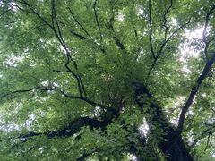 -广东温泉宾馆