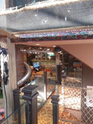 -卡通尼·Safari非洲探索乐园·生日会(金桥国际商业广场店)