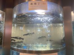-老船舫·现做活鲜鱼馆(东郊记忆店)