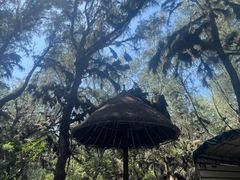 -北海金海湾红树林生态旅游区