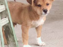 -马陆小张葡萄园农家乐