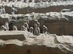 -秦始皇帝陵博物院(兵马俑)