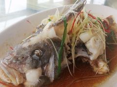 清蒸黑包鱼-连家船海鲜大排档·20年闽菜店(厦大店)