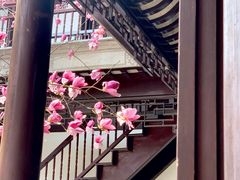 -苏州文旅花间堂·探花府酒店