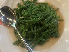 炒南瓜藤-大螃蟹海鲜餐厅