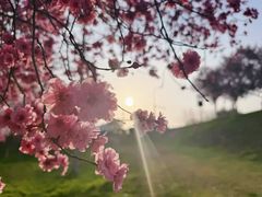 -霖公馆SPA·足道(普善路店)