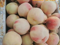 -苏家坨柳林村二月兰花海