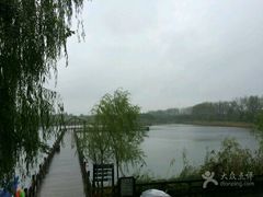 -溱湖国家湿地公园