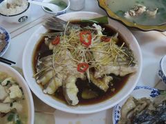 清蒸狗鱼-煲来饱去冷水鱼
