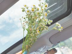 -沣峪森林公园龙潭戏水景区