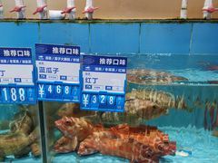 水产区-强记海鲜·大排档(蛇口新街店)