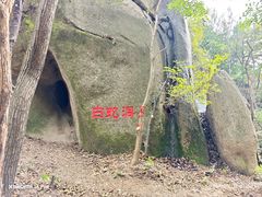 -六里坪国家森林公园