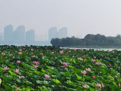 -云龙湖旅游景区