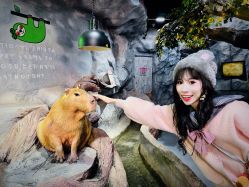 -Zoolung Zoolung动物主题公园(海信广场店)