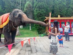 -云南民族村