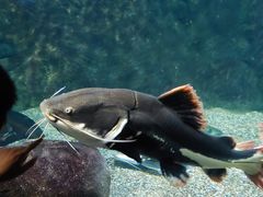 -太平洋海底世界