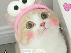 -天下玉苑