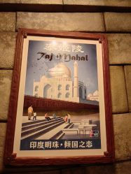 -翱翔飞越地平线