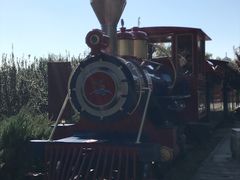 -永定河休闲森林公园