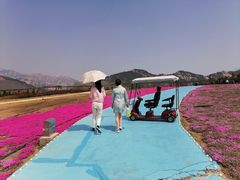 -西海岸生态观光园