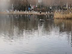 -前关湿地公园