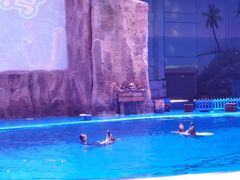 -华夏文旅海洋公园