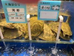 -海景壹号大酒店(惠钱路店)