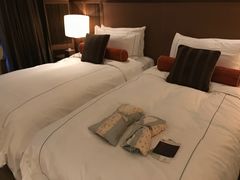 -台北北投丽禧温泉酒店