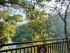 -红花湖景区