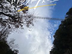 -洛阳白云山景区