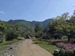 -千岛湖石林
