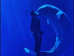 -多彩贵州城极地海洋世界