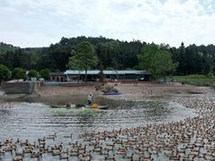 -郴州特产舜华临武鸭(郴州西站店)