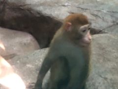 -福州罗源湾海洋世界旅游区