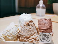 -野人先生现做冰淇淋(北京顺义祥云小镇店)