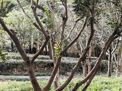 -徐家汇源景区-衡山公园