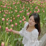 又到了一年一度和郁金香拍照的季节啦🌷