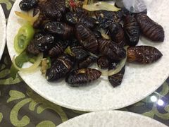 -钓鱼岛洗浴休闲会馆(卫星路店)