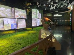 -华侨城湿地公园