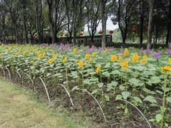 -玄武湖景区-情侣园游乐场