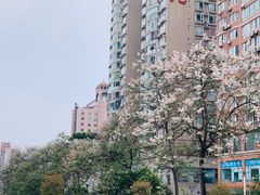 -红星桥(地铁站)