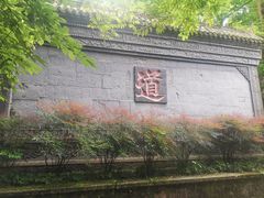 -青城山