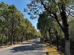 -上海海湾国家森林公园