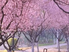 -堤角公园