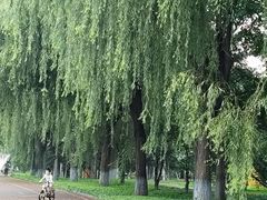 -黛秀湖公园